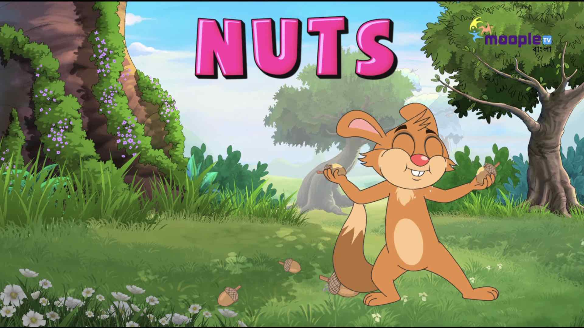  Nuts